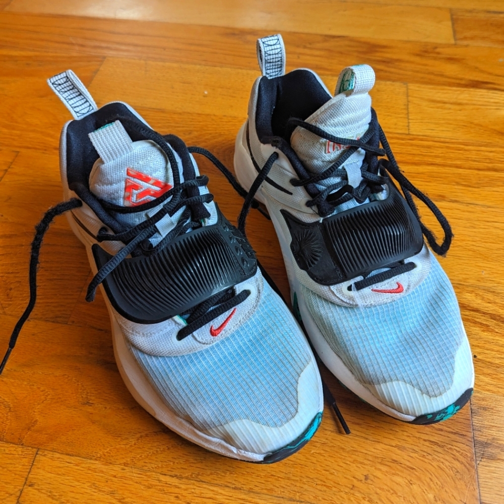 Nike Zoom Freak 3 basketball sneakers